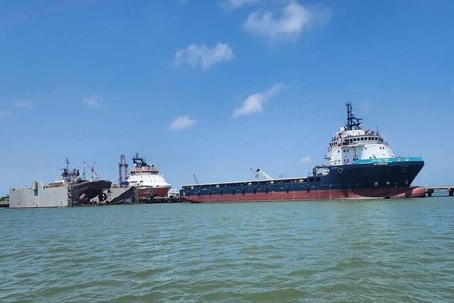Galveston: Dolphin Watching Boat Tour in Galveston Bay - Who should book this boat tour