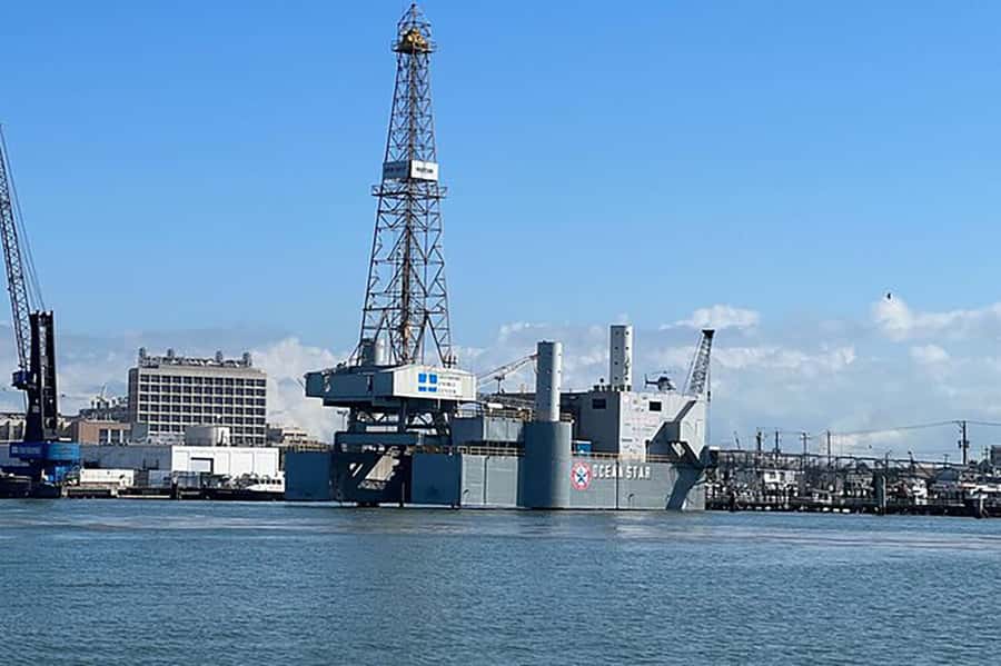 Galveston: Dolphin-Watching Cruise - Price and value at $25