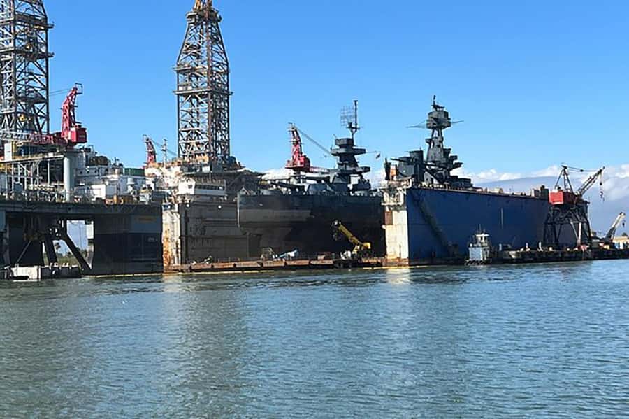 Galveston: Dolphin-Watching Cruise - Booking flexibility and practical details