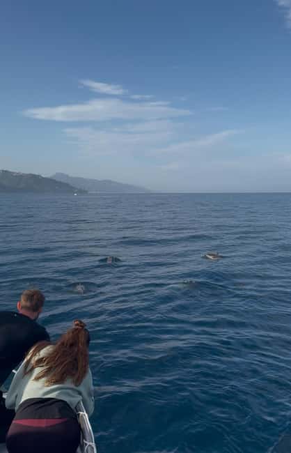 Giardini Naxos: Dolphin Searching Sunset Boat Tour - What $64 buys you