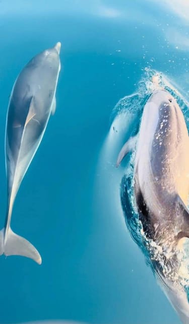 Giardini Naxos: Dolphin Searching Sunset Boat Tour - Grotta dell’Amore and the coastal caves
