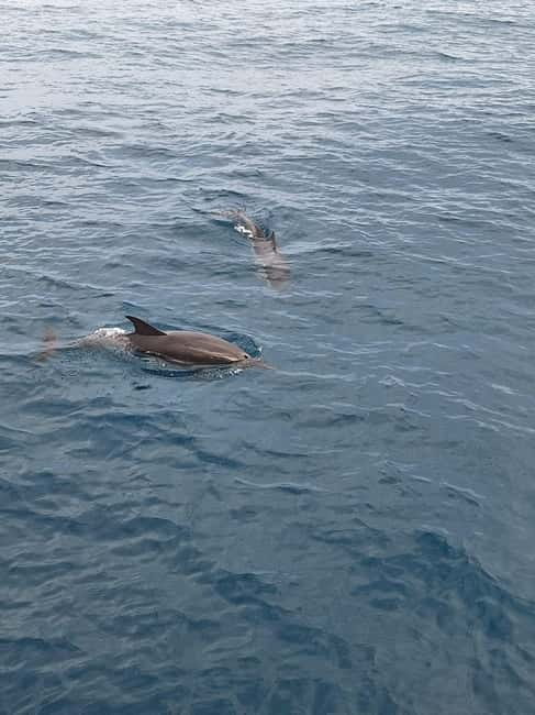Giardini Naxos Taormina: Dolphin Watching Sunset Tour - Setting out from Giardini Naxos