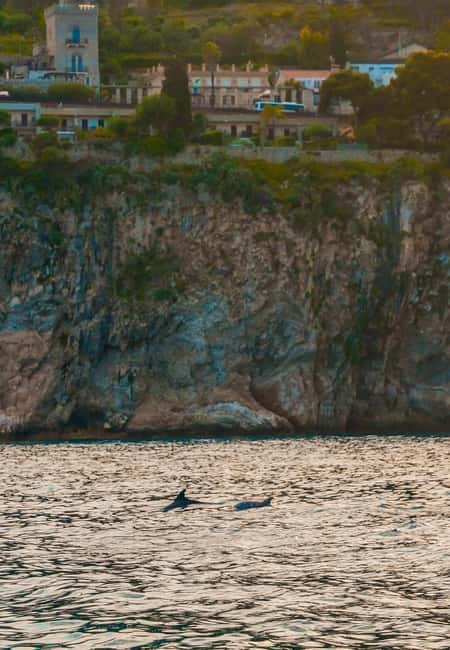 Giardini Naxos Taormina: Dolphin Watching Sunset Tour - Searching for dolphins in open water