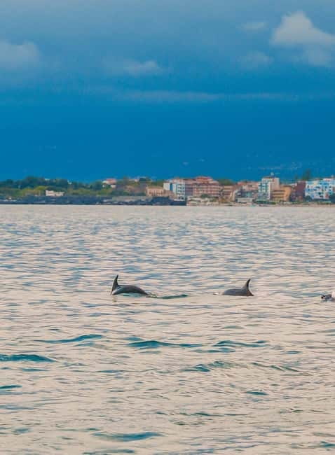Giardini Naxos Taormina: Dolphin Watching Sunset Tour - Isola Bella and the clear Ionian Sea