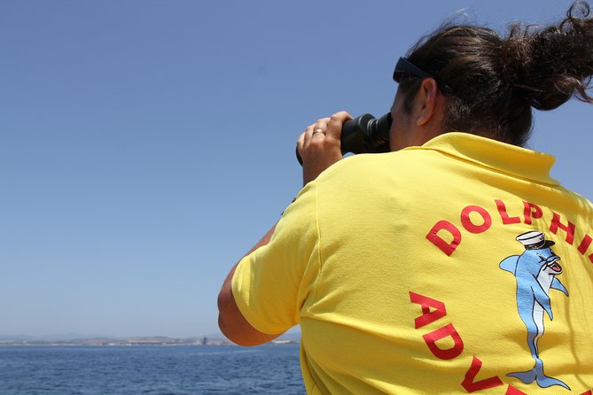 Gibraltar Dolphin Adventure - What the one-hour outing is really like