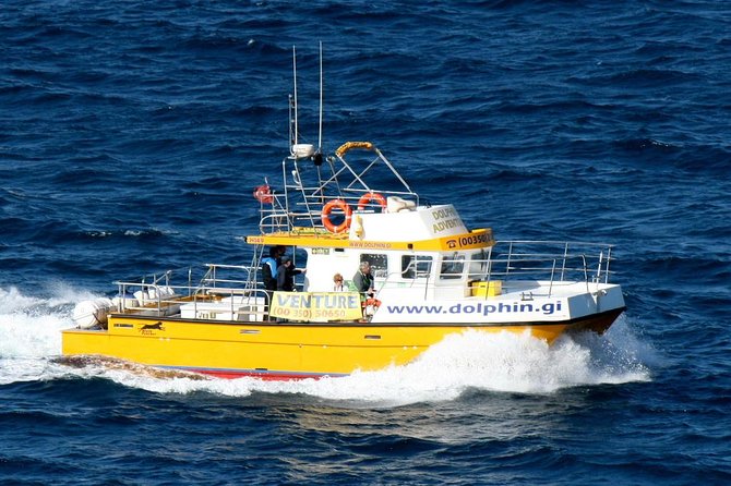 Gibraltar Dolphin Adventure - A small group, but not a private boat