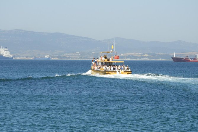 Gibraltar Dolphin Adventure - The $35.65 price and what it buys you