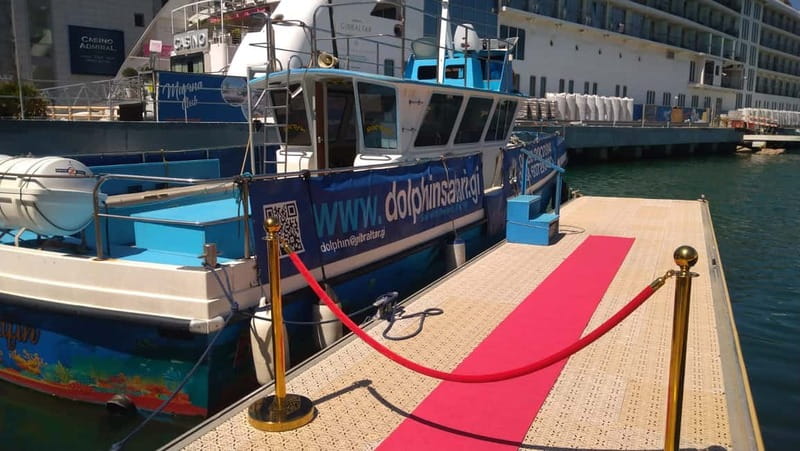 Gibraltar: Dolphin Watching Boat Tour - Setting out from Marina Bay in Gibraltar