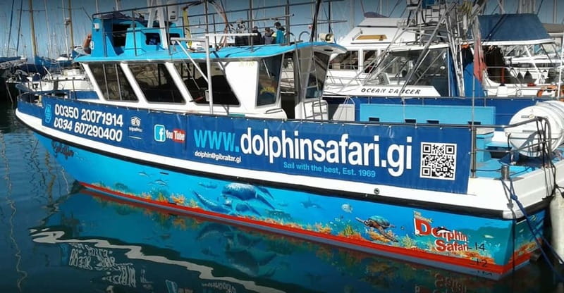 Gibraltar: Dolphin Watching Boat Tour - Following resident dolphins across the bay