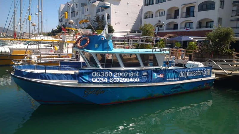 Gibraltar: Dolphin Watching Boat Tour - Why this boat is useful for dolphin watching