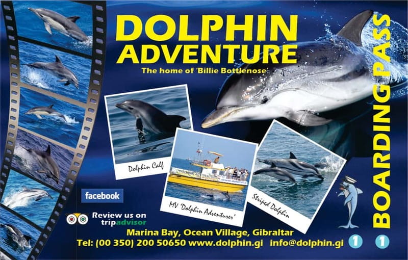 Gibraltar: Dolphin Watching Tour - Should you book this dolphin tour?