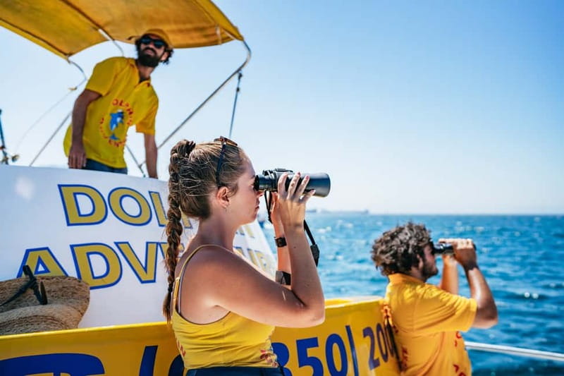 Gibraltar: Dolphin Watching Tour - Family appeal and who will enjoy it