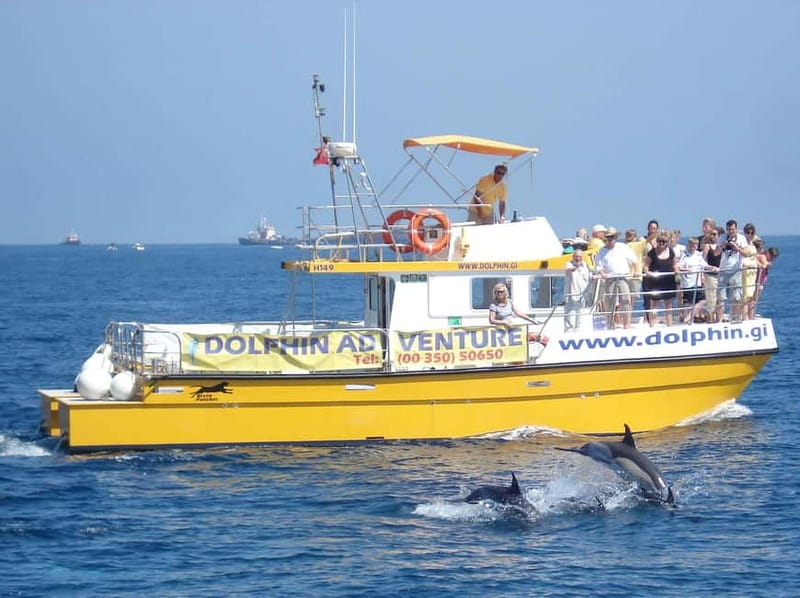 Gibraltar: Dolphin Watching Tour - Leaving Marina Bay on Dolphin Adventurer