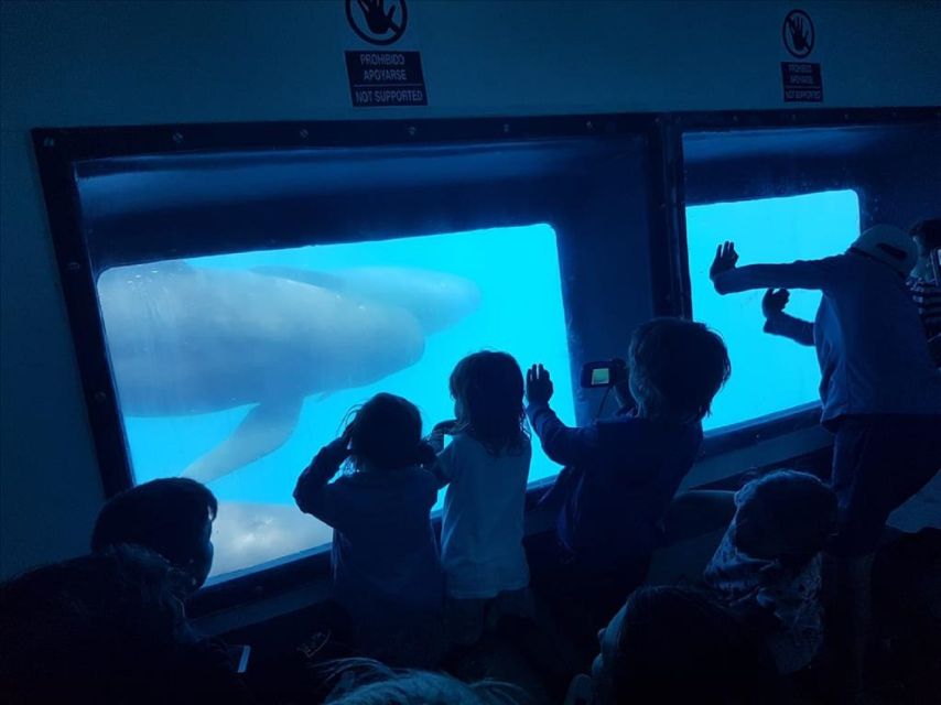 Gibraltar Dolphins Watching Day Trip from Seville - Who will enjoy this day trip most