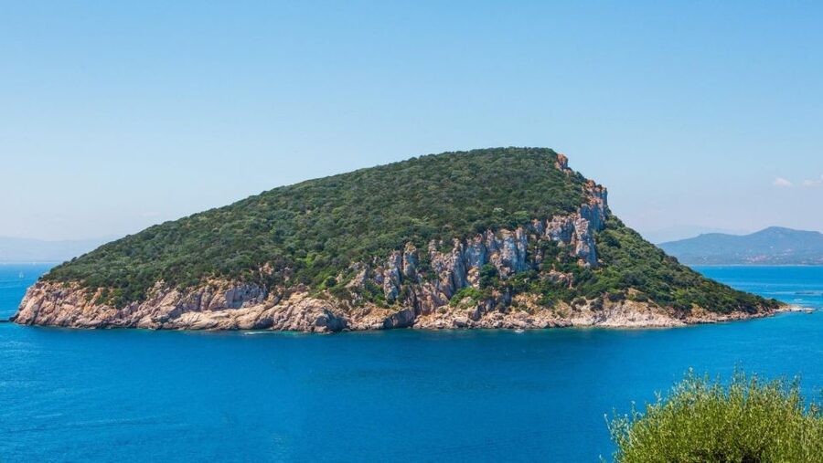 Golfo Aranci: Dolphin Watching and Snorkeling Boat Tour - Key points at a glance