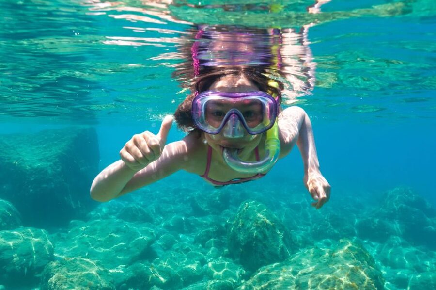Golfo Aranci: Dolphin Watching and Snorkeling Boat Tour - Cala Greca, Cala Moresca, and Figarolo