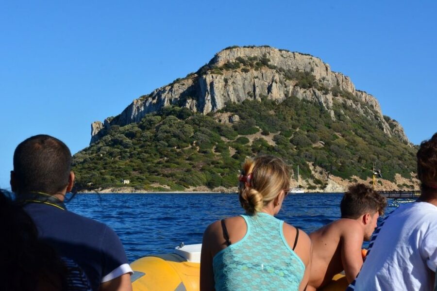 Golfo Aranci: Dolphin Watching and Snorkeling Boat Tour - What the snorkeling is really like