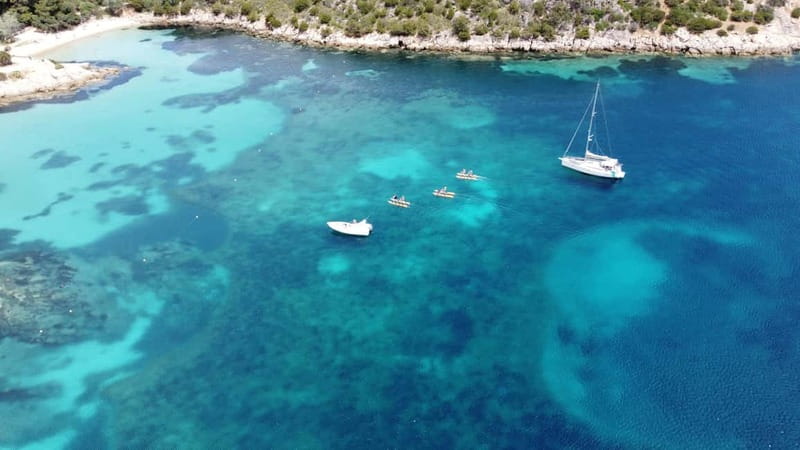 Golfo Aranci: Hydrobike Experience with Aperitif & Dolphins - Searching the water for dolphins
