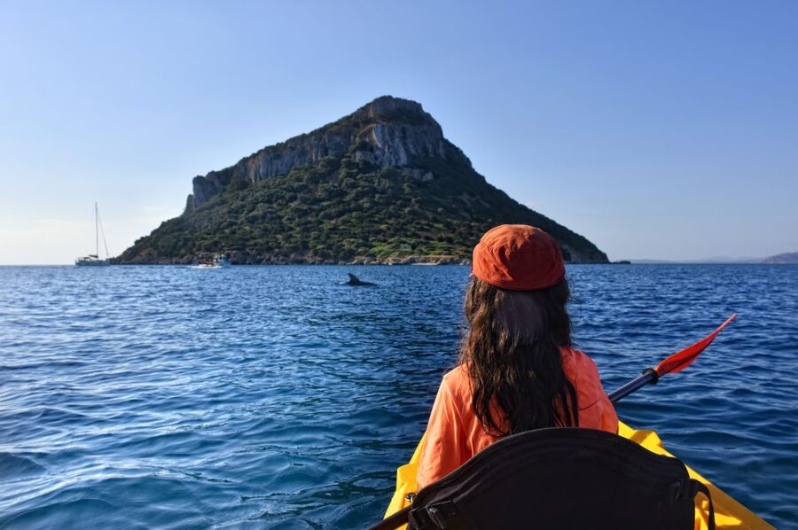 Golfo Aranci: Kayak Tour with Dolphins and Aperitif - Why the dolphins are the main draw