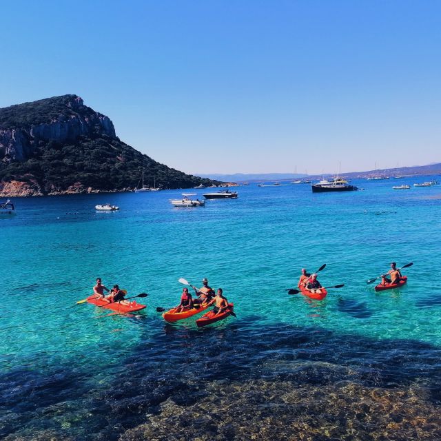 Golfo Aranci: Kayak Tour with Dolphins and Aperitif - Paddling toward Cala Moresca