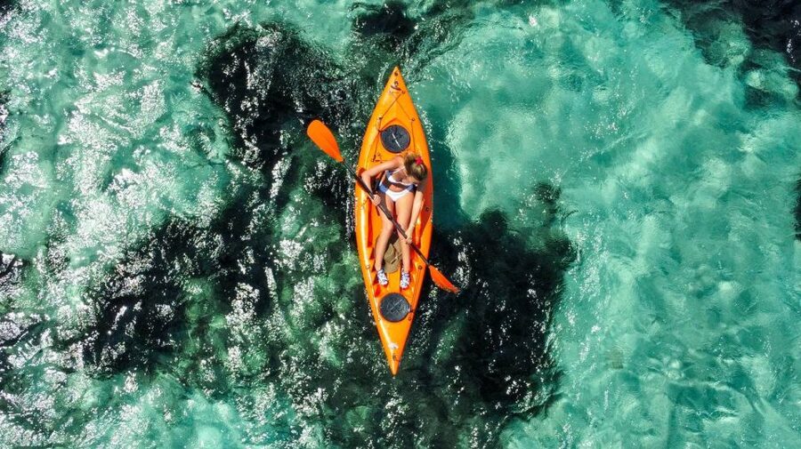 Golfo Aranci: Kayak Tour with Dolphins and Aperitif - What the guides add to the trip