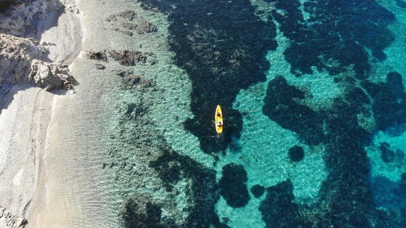 Golfo Aranci:Small group, german guided Kayak tour&Dolphins - Watching dolphins near the Golfo Aranci fish farm