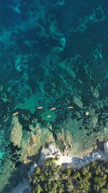 Golfo Aranci:Small group, german guided Kayak tour&Dolphins - Is $58 good value for three hours?
