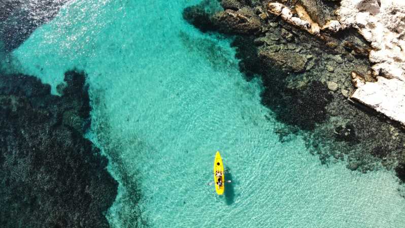 Golfo Aranci: Small group Kayak tour with Aperitif &dolphins - Why this Golfo Aranci kayak trip works so well