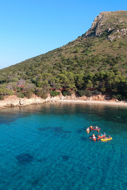Golfo Aranci: Sunrise Dolphin Kayak Tour with Breakfast - Why sunrise is the right time for Golfo Aranci