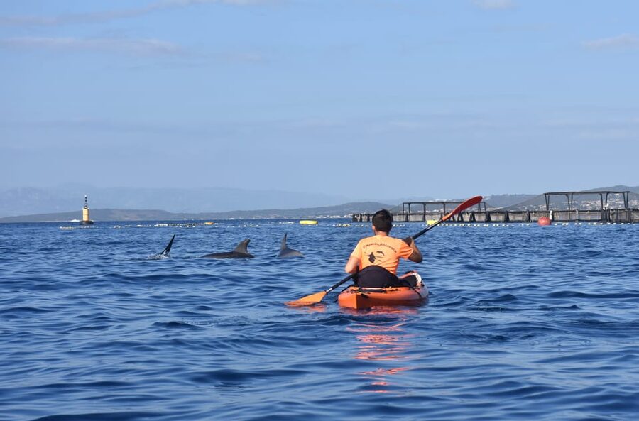 Golfo Aranci: Sunrise Dolphin Kayak Tour with Breakfast - A calm briefing before the first paddle