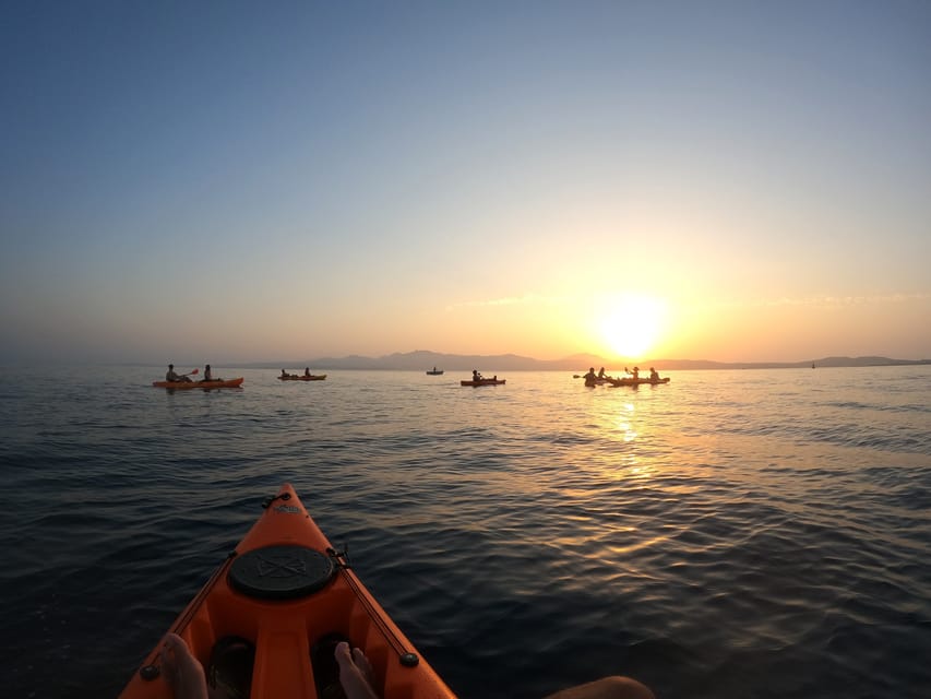 Golfo Aranci: Sunset Dolphin Kayak Tour with Aperitif - Should you book the Golfo Aranci sunset kayak tour?