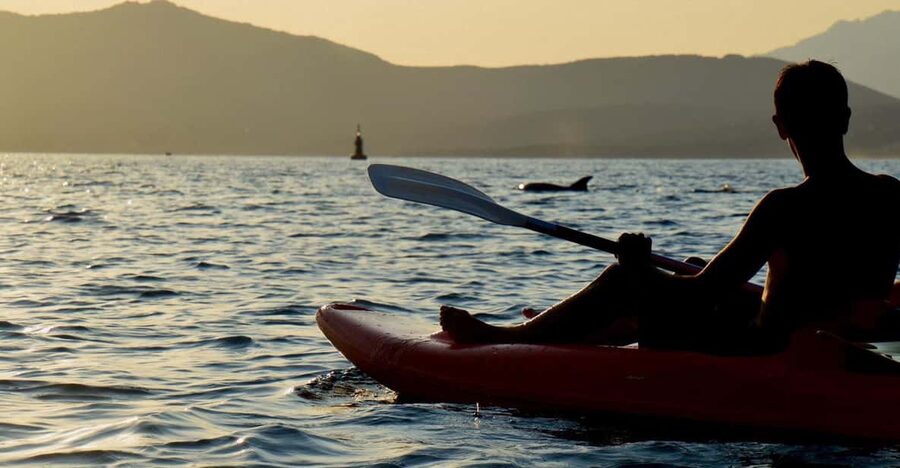 Golfo Aranci: Sunset Dolphin Kayak Tour with Aperitif - Starting at Spiaggia dei Baracconi