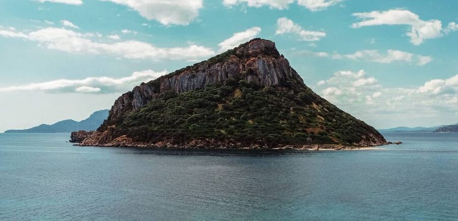 Golfo Aranci: Sunset Dolphin Kayak Tour with Aperitif - Sardinian cheese, cured meat, and beer