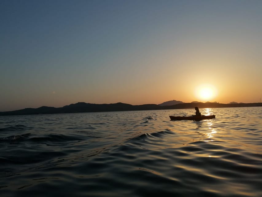 Golfo Aranci: Sunset Dolphin Kayak Tour with Aperitif - Searching for dolphins in the last light