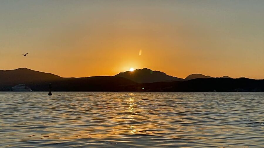 Golfo Aranci: Sunset Dolphin Kayak Tour with Aperitif - The guides make the difference