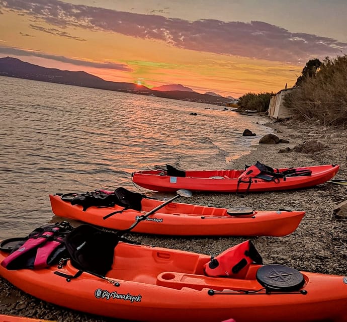 Golfo Aranci: Sunset Dolphin Kayak Tour with Aperitif - Who should book this outing?