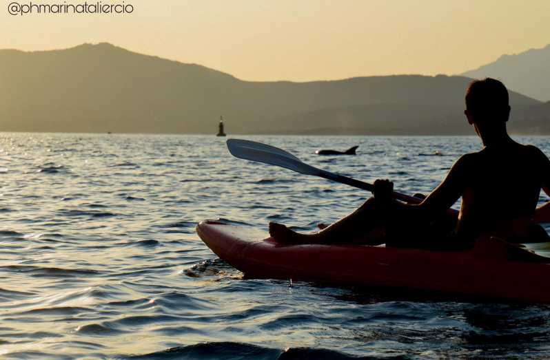 Golfo Aranci: Sunset Dolphin Kayak Tour with Aperitif - Paddling past coves, cliffs, and grottos