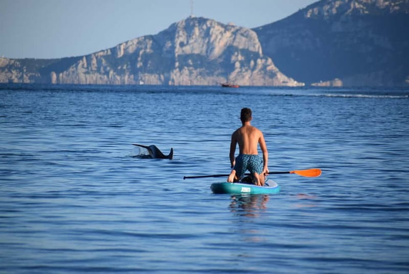 Golfo Aranci: Sup with dolphins, aperitif & photo shoot - Why this Golfo Aranci SUP trip works