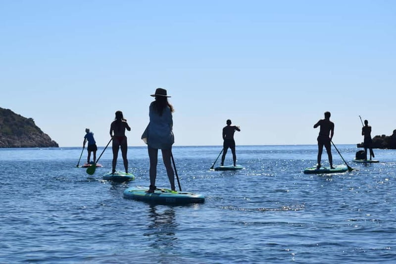 Golfo Aranci: Sup with dolphins, aperitif & photo shoot - Paddling around Figarolo