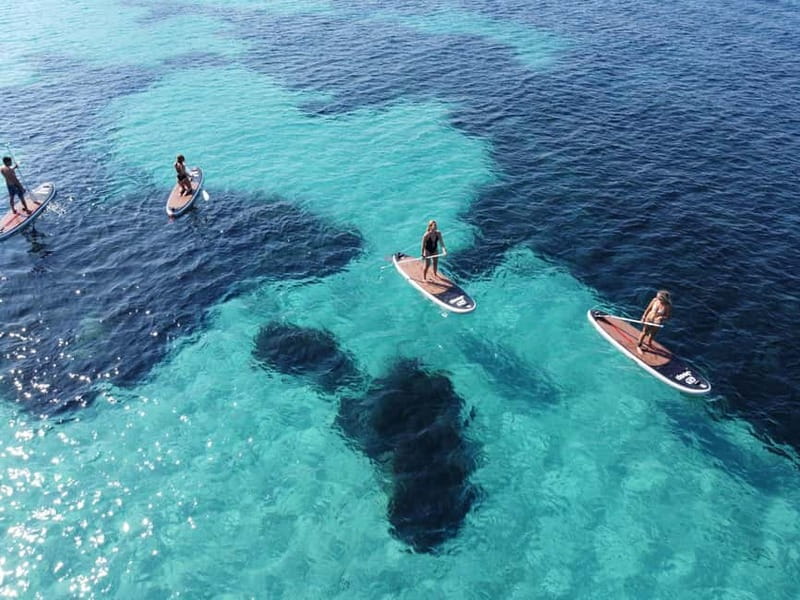 Golfo Aranci tour SUP Paddleboard Dolphin watching, aperitif - Why this Golfo Aranci SUP trip is different