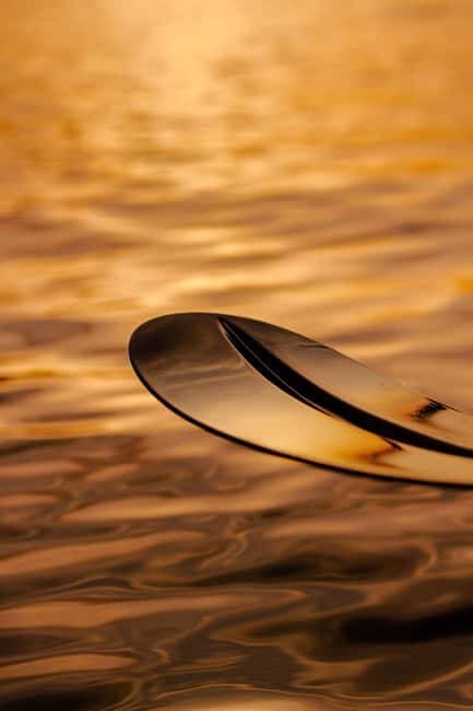 Golfo Aranci: traditional or transparent kayaks, dolphins, and aperitifs - Starting from Baracconi Beach