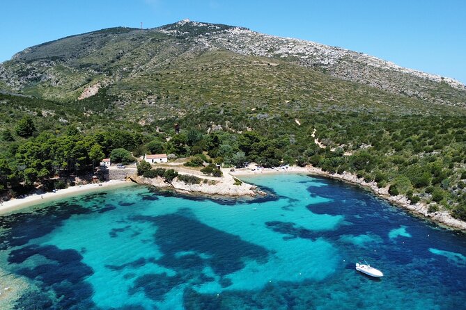 Golfo di Olbia and Dolphins Island Private Boat Tour - Key points to know before booking
