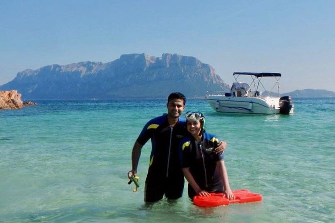 Golfo di Olbia and Dolphins Island Private Boat Tour - Wildlife, seabirds, and the chance of dolphins