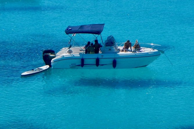 Golfo di Olbia and Dolphins Island Private Boat Tour - Tavolara, Molara, and the coast south of Olbia