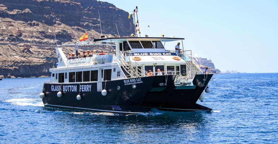 Gran Canaria: Catamaran Dolphin Watch Cruise with Snorkeling - Setting sail from Puerto Base near Puerto Rico