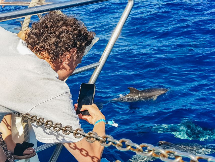 Gran Canaria: Catamaran Dolphin Watch Cruise with Snorkeling - FAQ