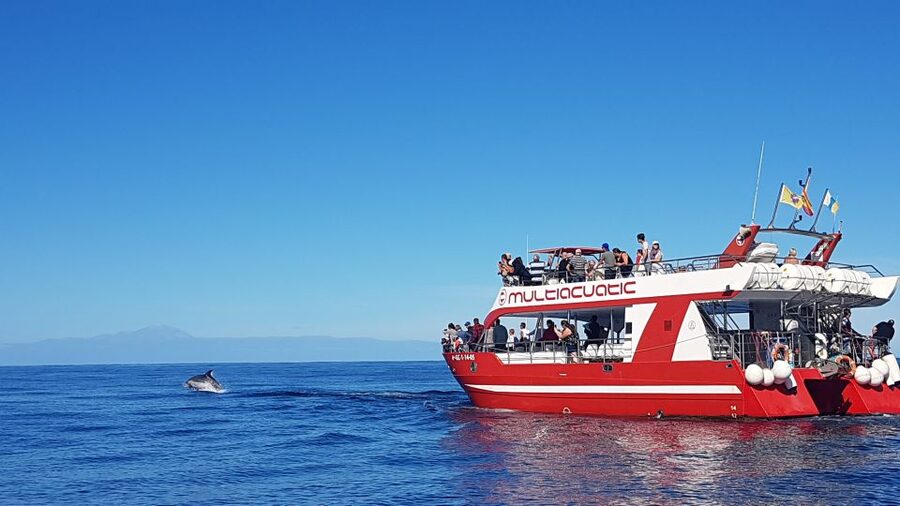 Gran Canaria: Dolphin and Whale Watching Cruise - Setting out from Puerto Rico into open water
