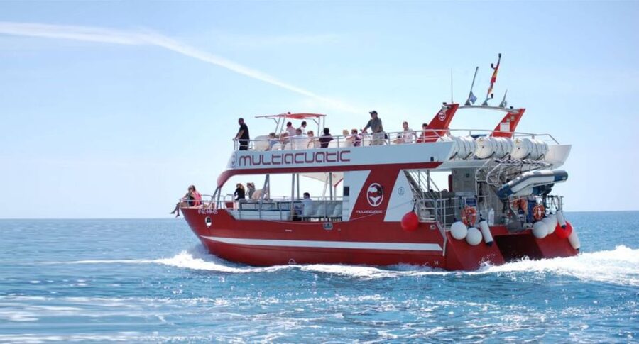 Gran Canaria: Dolphin and Whale Watching Cruise - What the 150-minute cruise feels like