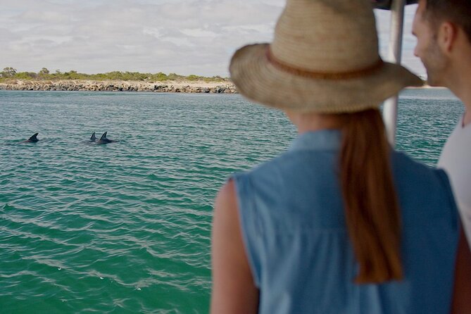 Guided Dolphin Eco-Cruise in Koombana Bay - Key points about the Koombana Bay dolphin cruise