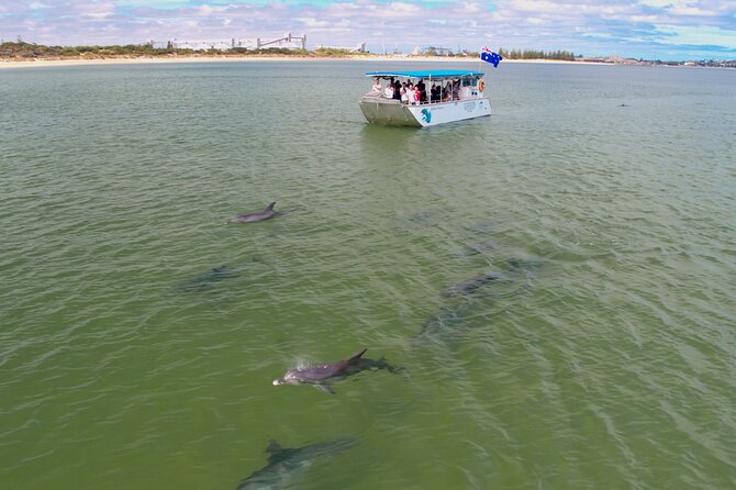 Guided Dolphin Eco-Cruise in Koombana Bay - A purpose-built vessel with room to watch